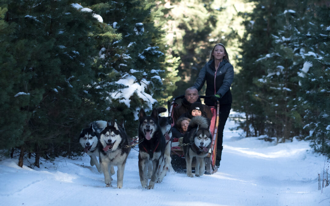 Alaskan Forever