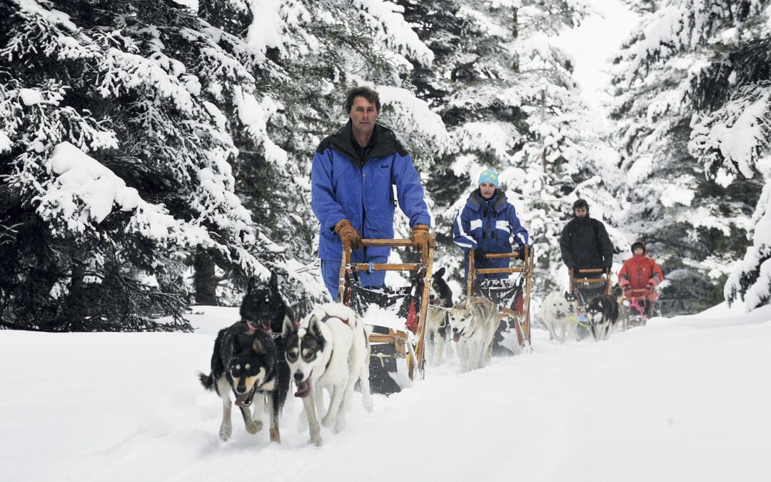 Alaskan Team