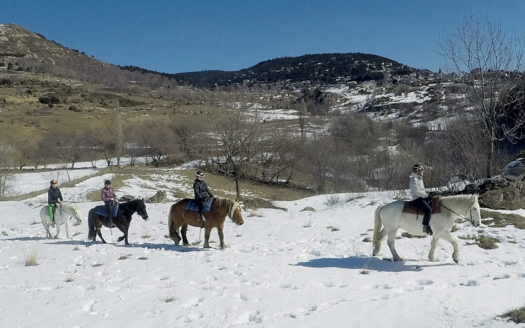 Cheval loisirs promenades