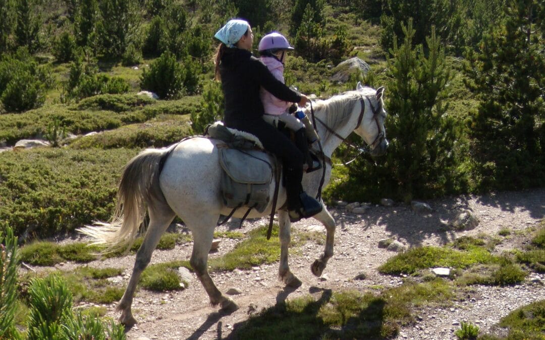 Les chevaux de la tramontane