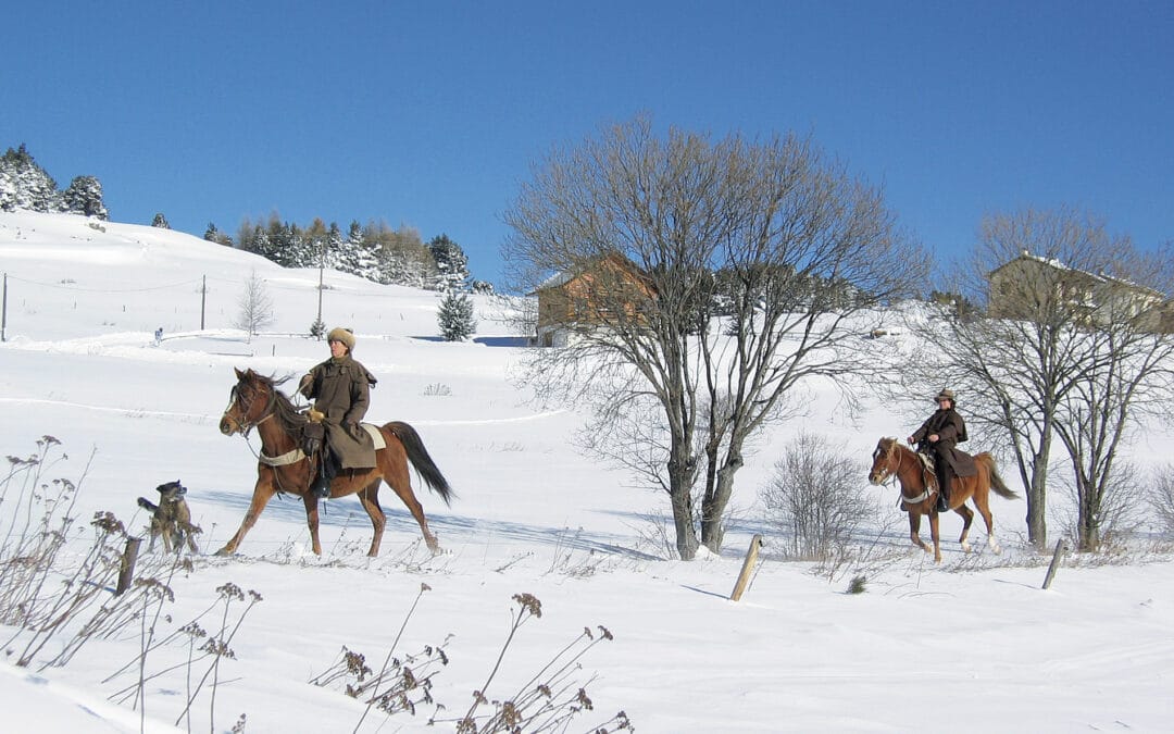 Les chevaux de la tramontane