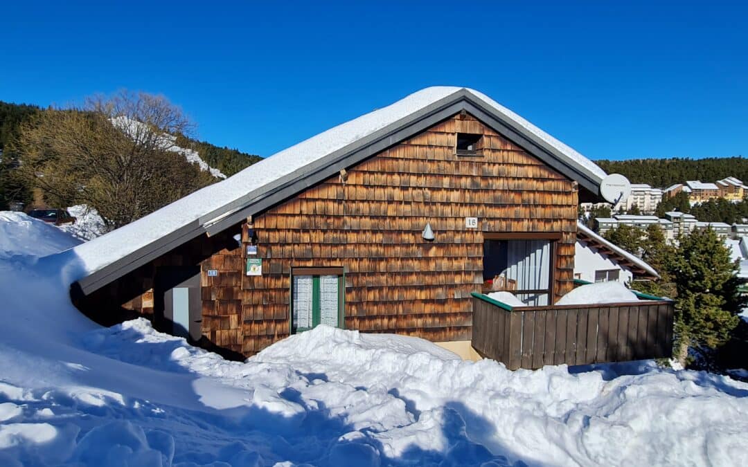 Galy/ Les lupins bleus