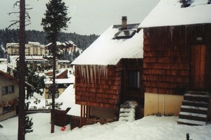 RIGAUD M