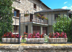 LES LUPINS