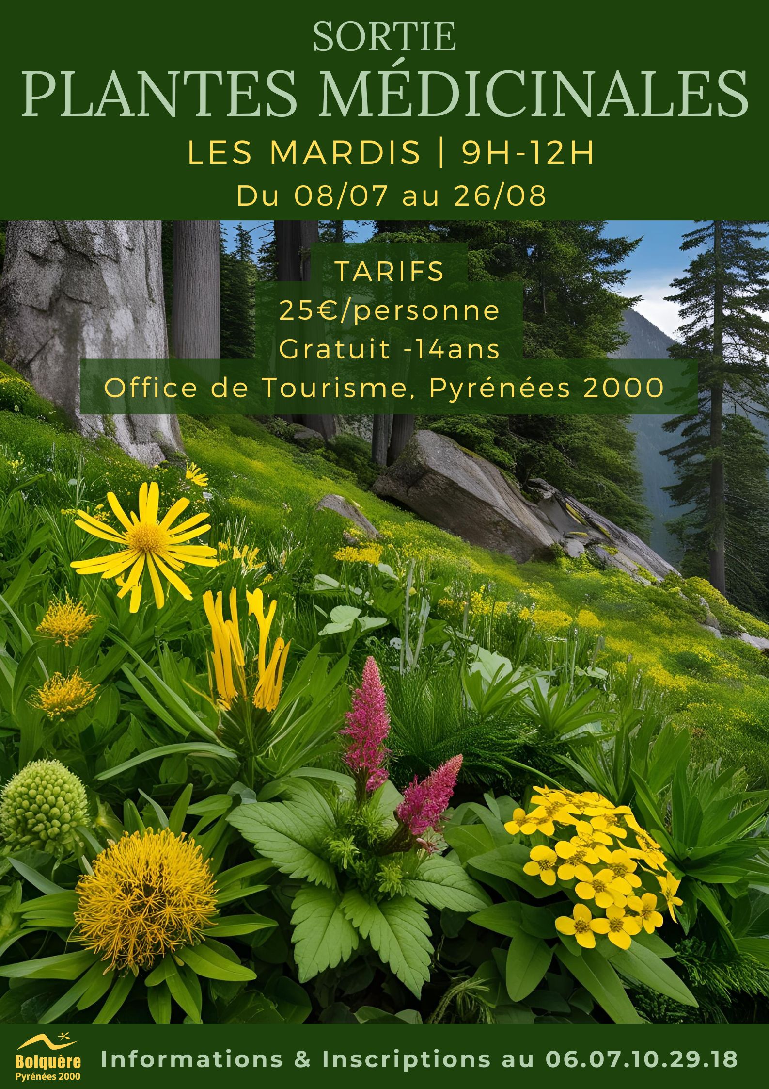 Sortie-Plantes-Medicinales