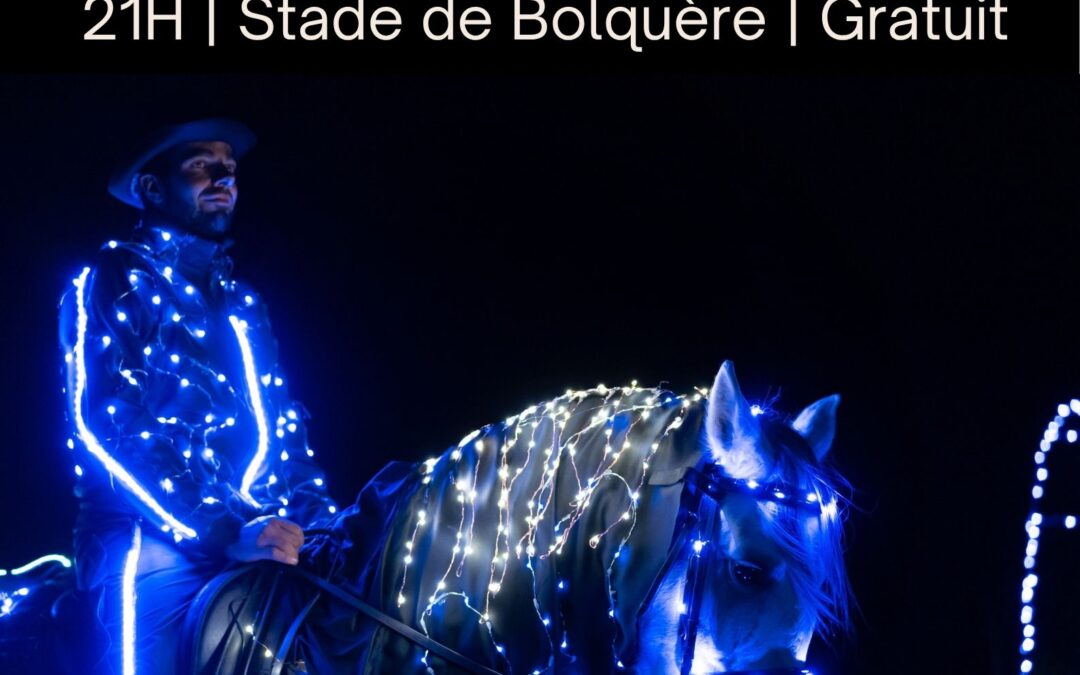 SPECTACLE ÉQUESTRE: FÉERIE NOCTURNE