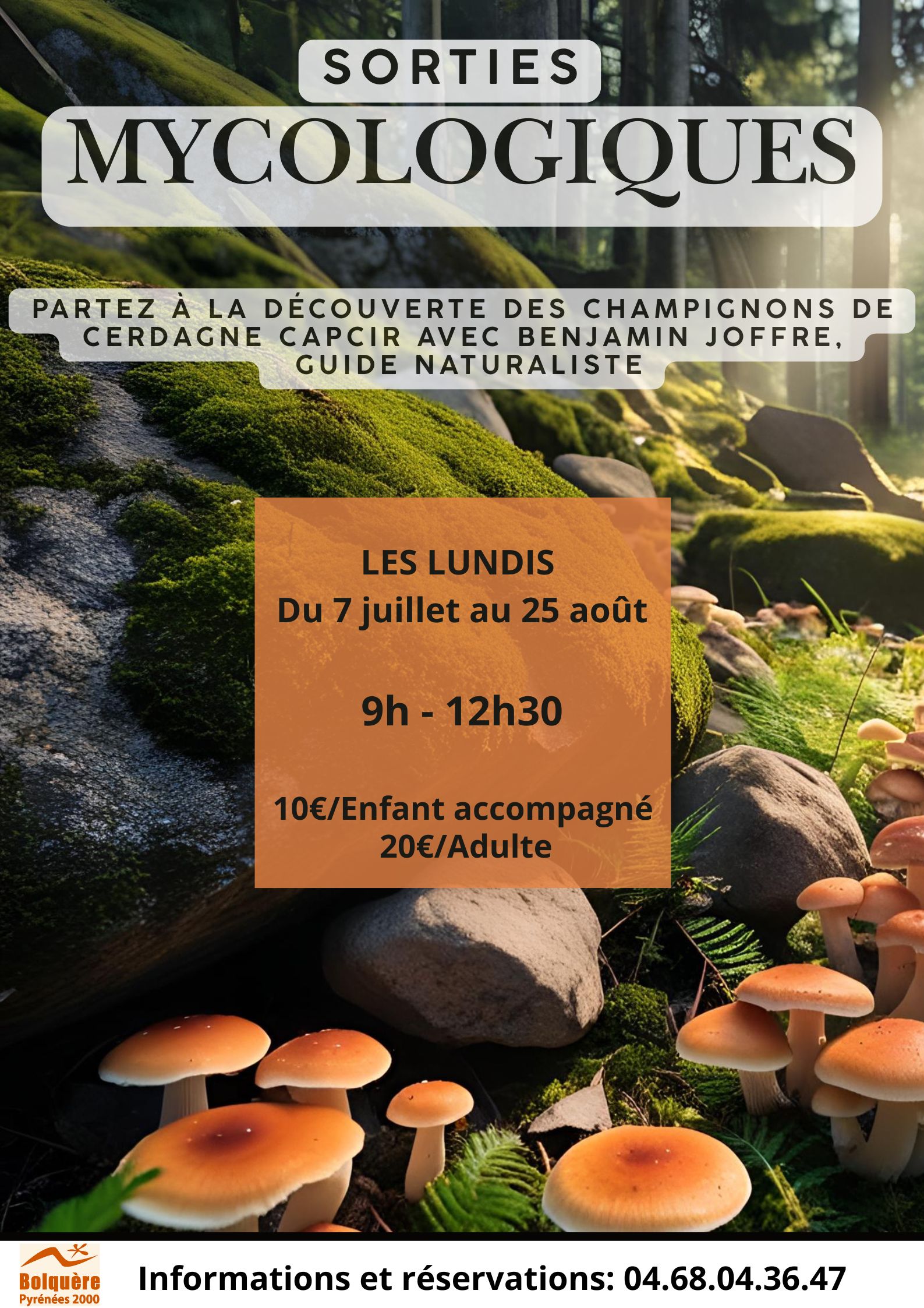 SORTIES-MYCOLOGIQUES-5