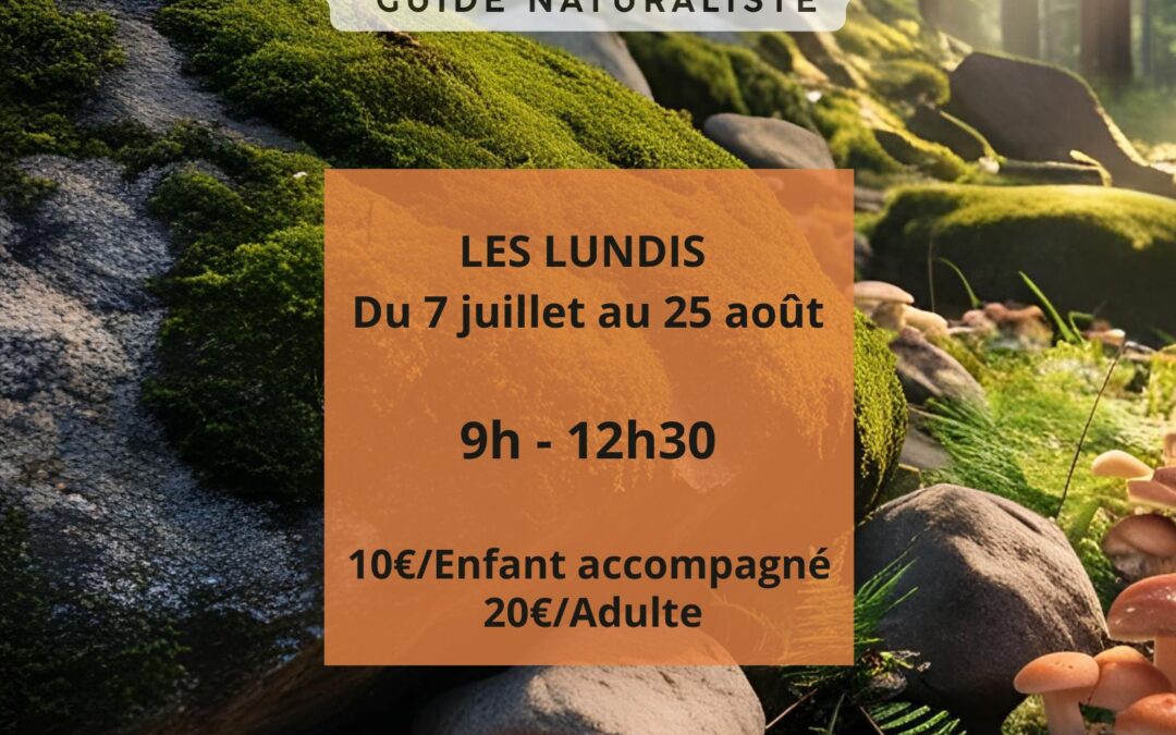 SORTIE MYCOLOGIQUE