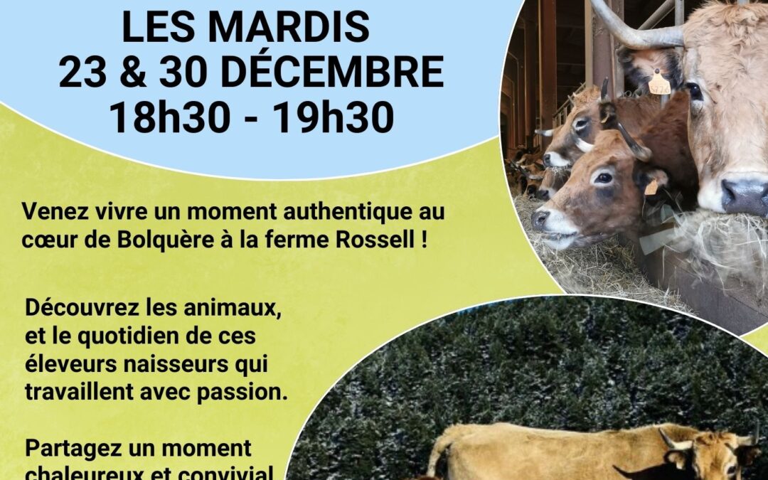 DECOUVERTE DE LA FERME ROSSELL