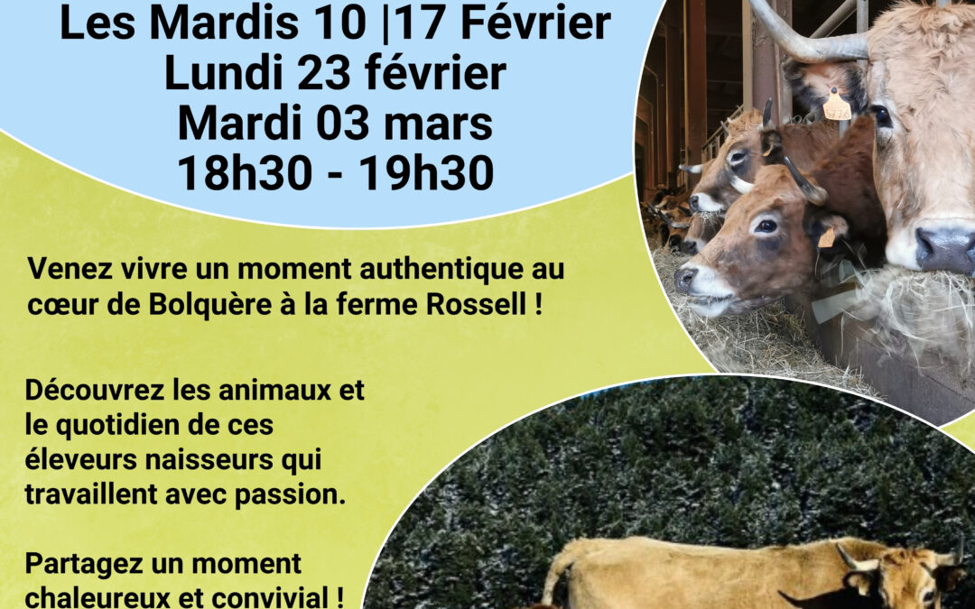 DECOUVERTE DE LA FERME ROSSELL