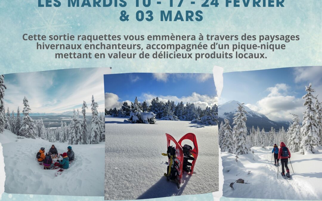 SORTIE RAQUETTES ET DECOUVERTE DES PRODUITS REGIONAUX