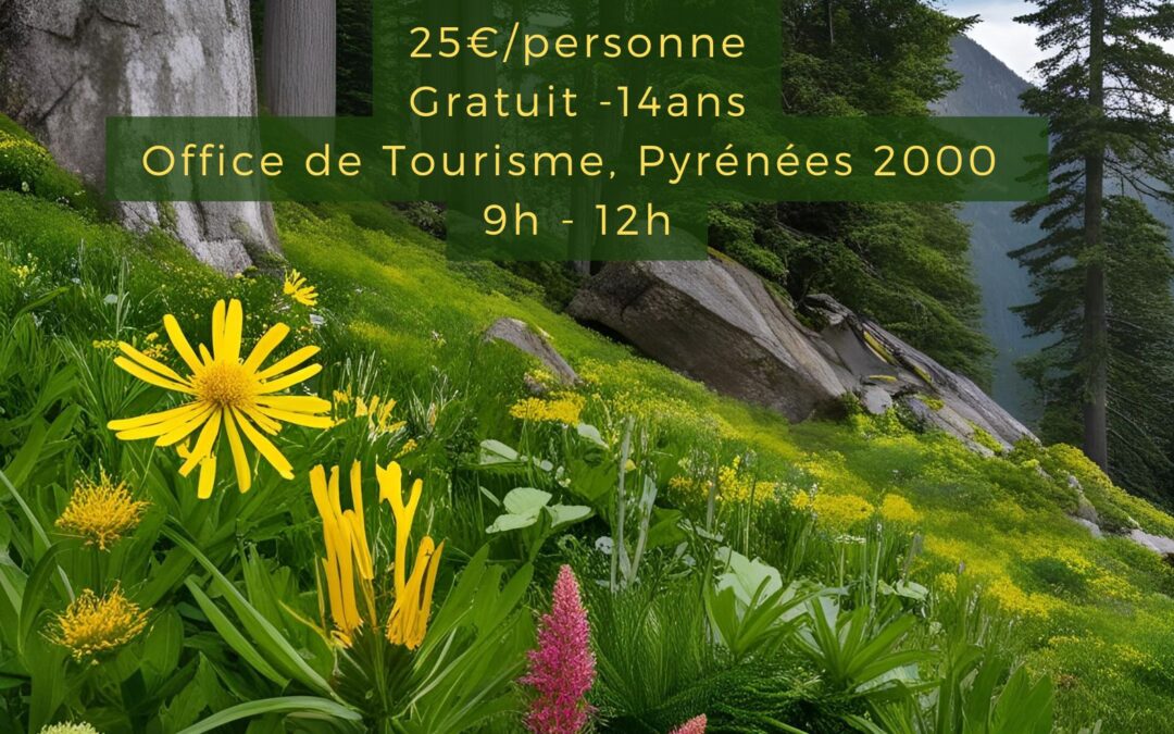 SORTIES PLANTES MEDICINALES DES PYRENEES